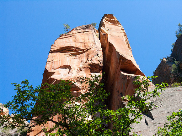 Arizona 2005