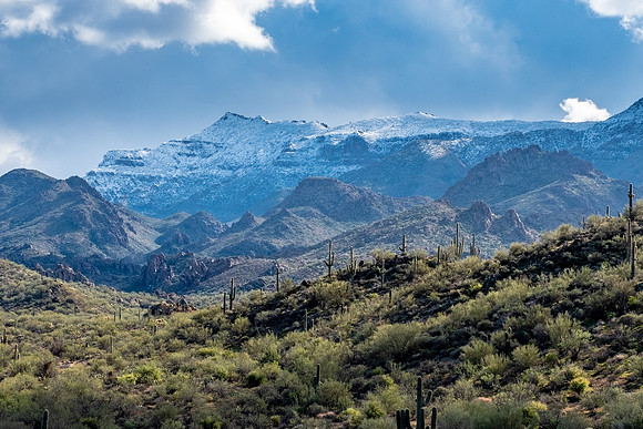 Arizona 2019