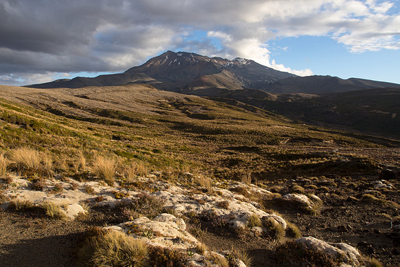 New Zealand 2013