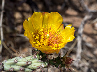 Barkley Basin (May 2018)