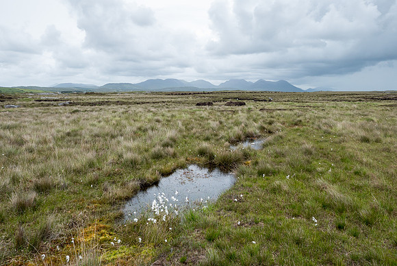 Ireland 2017