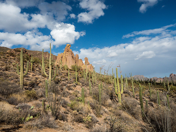 Arizona 2018