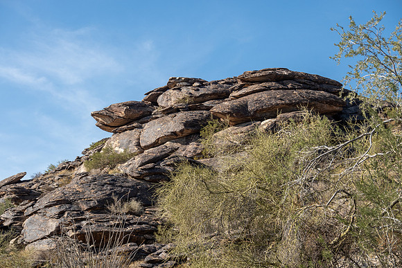 Arizona 2020