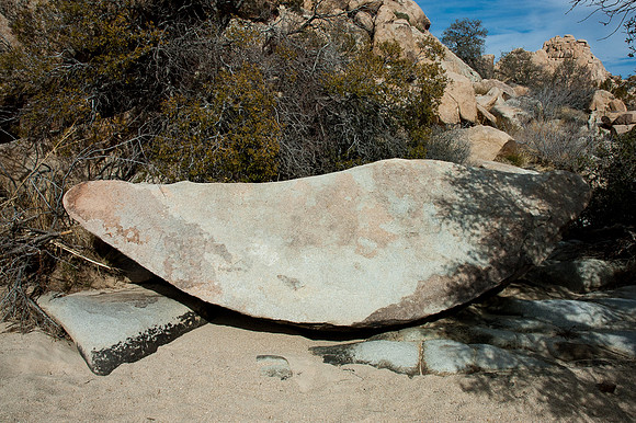 Joshua Tree National Park
