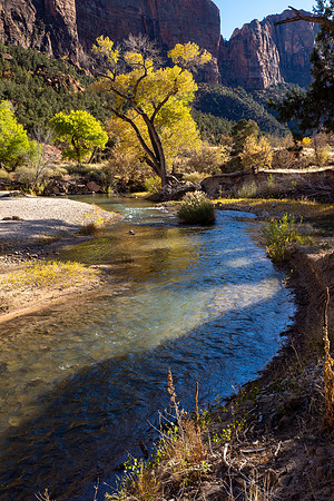 Zion National Park 2024