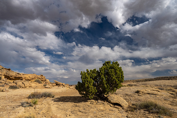 New Mexico 2025