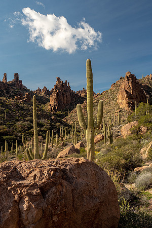 Arizona 2019
