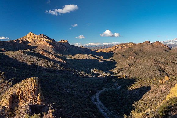 Arizona 2019