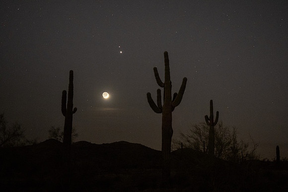 Arizona 2020