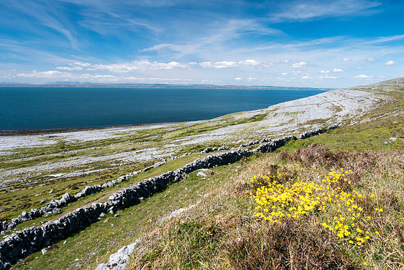 Ireland 2017