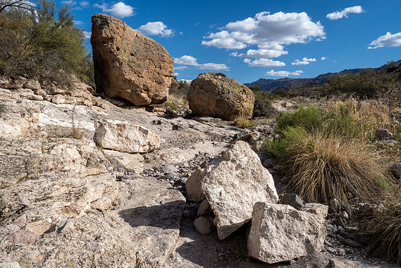 Arizona 2021