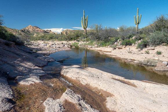 Arizona 2019