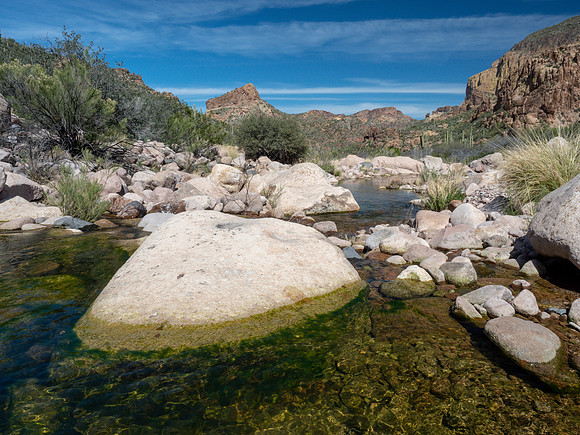 Arizona 2019