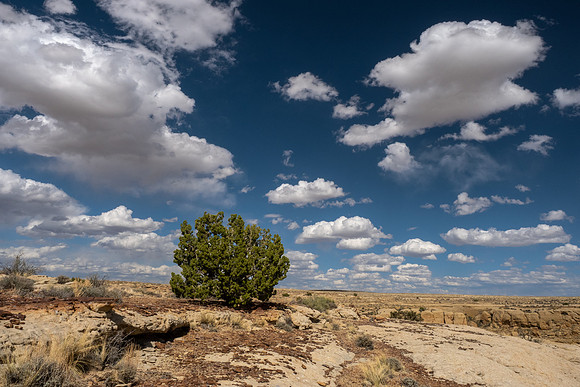 New Mexico 2025