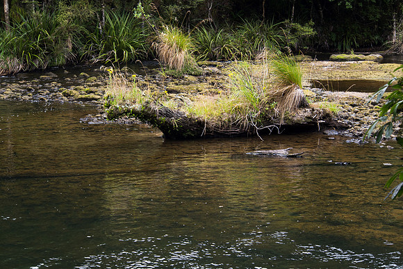 New Zealand 2013