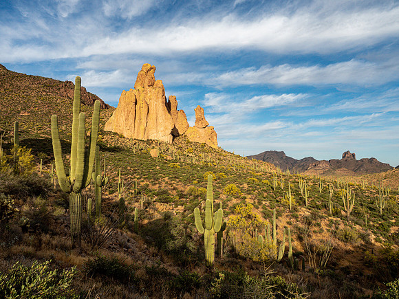 Arizona 2019