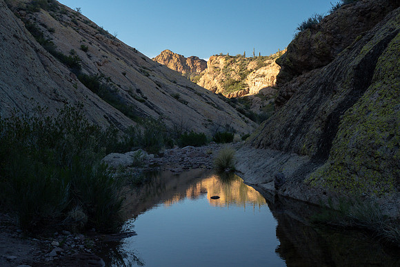 Arizona 2019