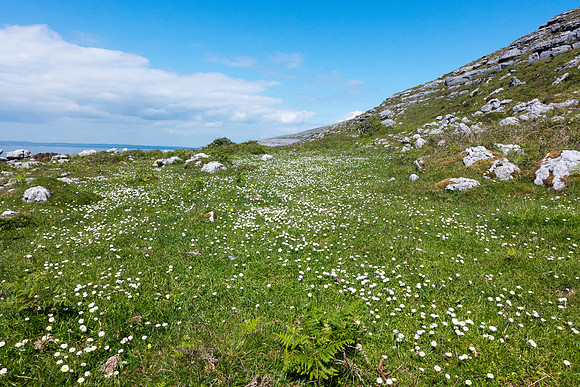 Ireland 2014 - Burren