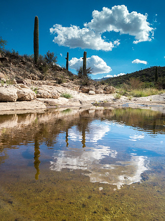 Arizona 2018