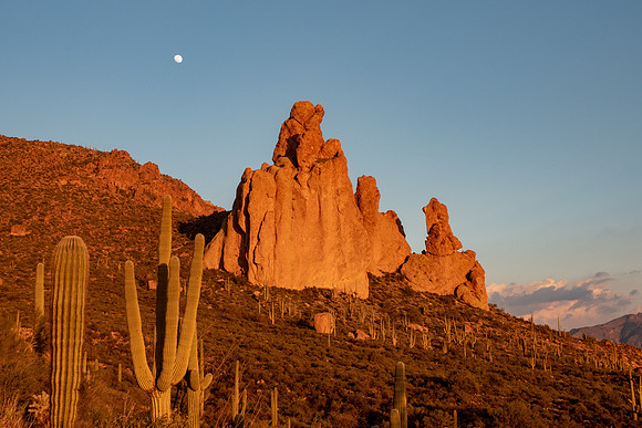 Arizona 2019