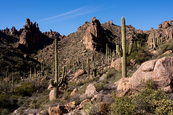 Arizona 2013 - Superstitions Hike Bluff Spring Loop