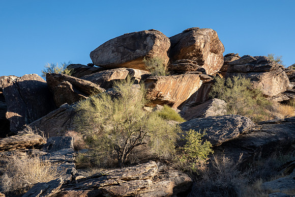 Arizona 2020