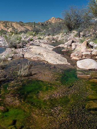 Arizona 2019