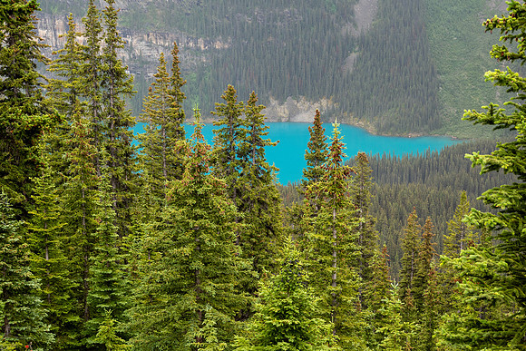 Banff National Park 2025