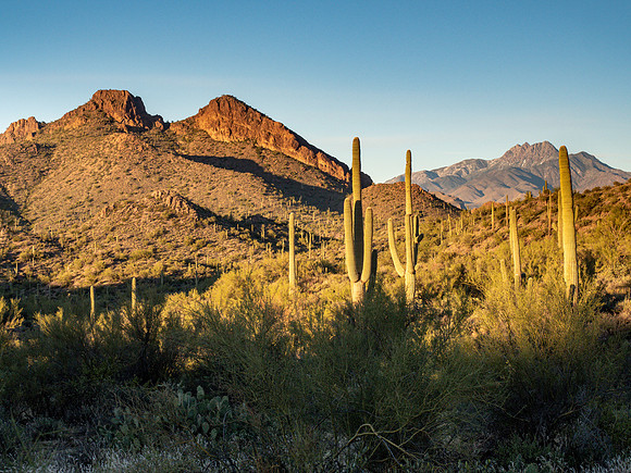 Arizona 2019