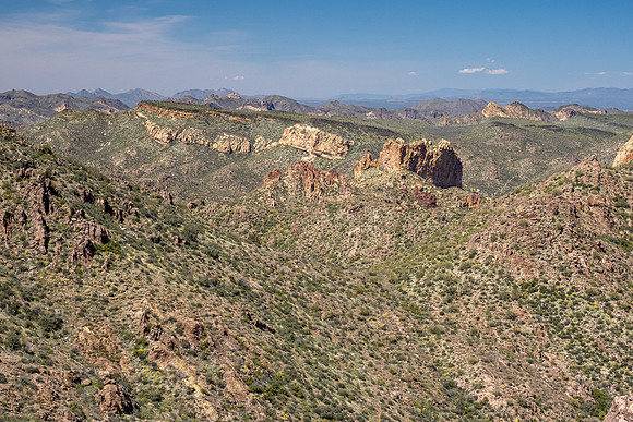 Arizona 2020