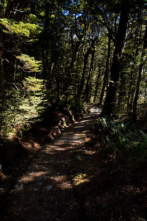New Zealand 2013