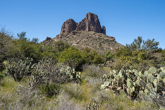 Arizona 2020