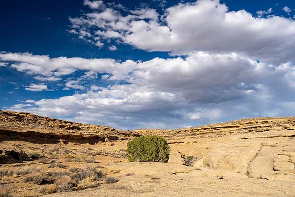 New Mexico 2025