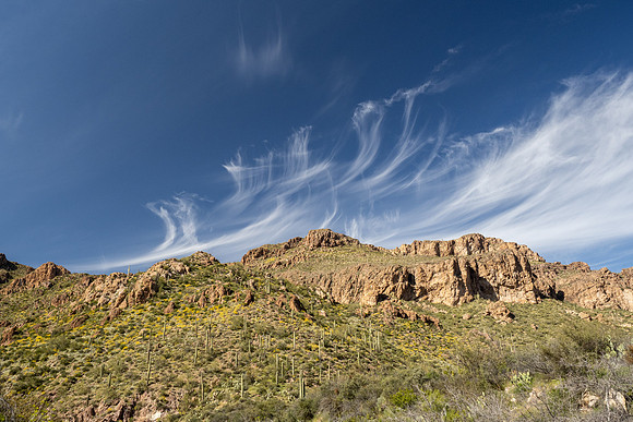 Arizona 2020