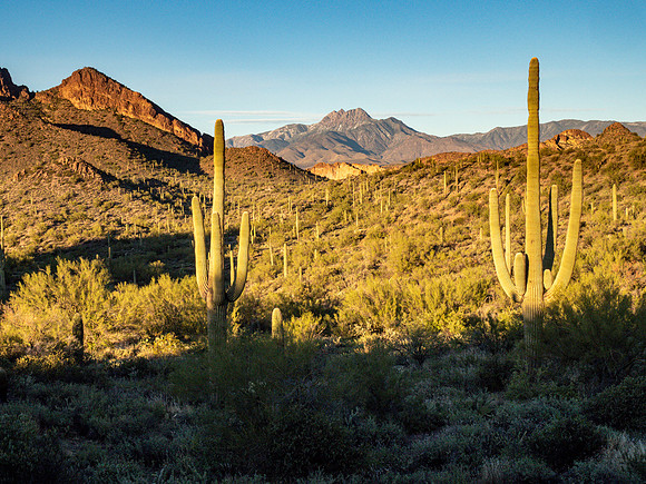 Arizona 2019