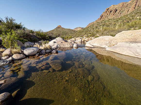 Arizona 2020