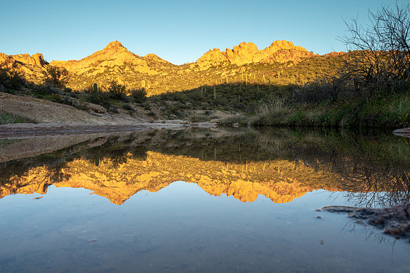 Arizona 2019