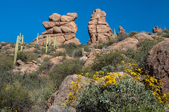 Arizona 2019