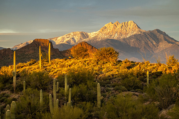 Arizona 2020