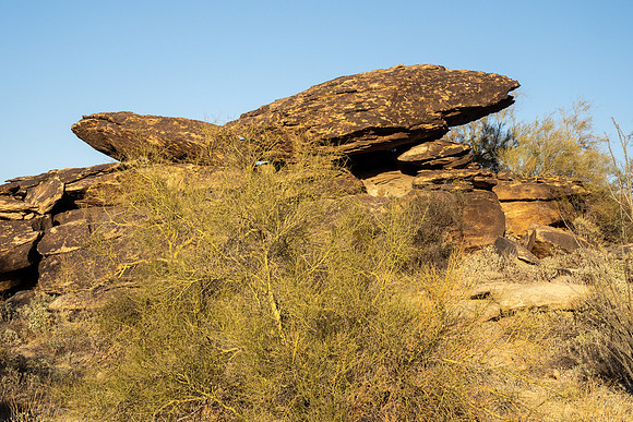 Arizona 2021