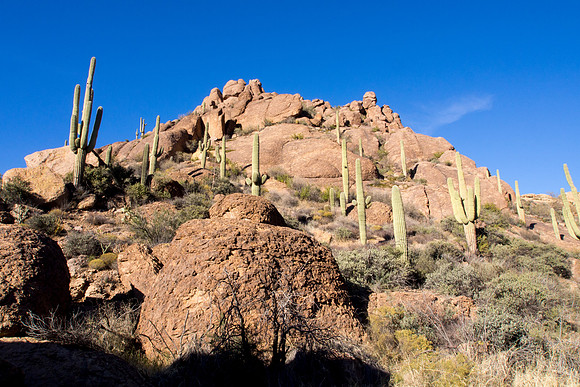 Arizona 2013 - Superstitions Hike Bluff Spring Loop