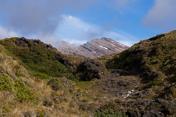 New Zealand 2013