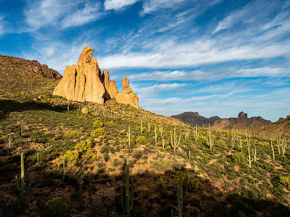 Arizona 2019