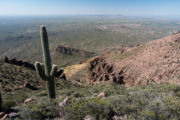 Arizona 2015 - Superstitions Ridge Hike (Mar)