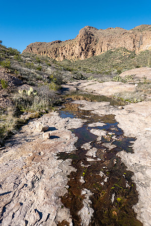 Arizona 2019