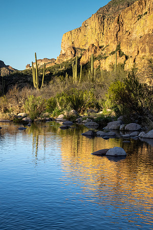 Arizona 2020
