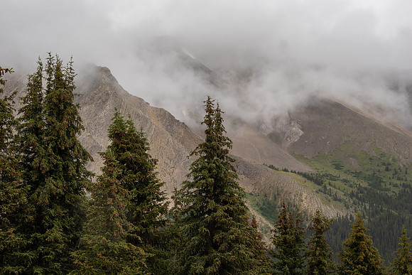 Banff National Park 2025
