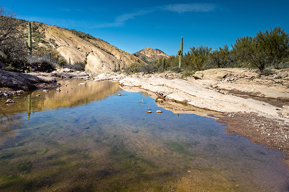 Arizona 2020