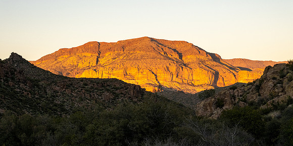 Arizona 2020