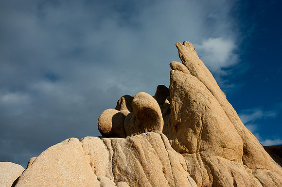 Joshua Tree National Park